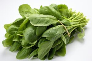 vibrant-greens-fresh-spinach-bundle-white-background_1018561-1659